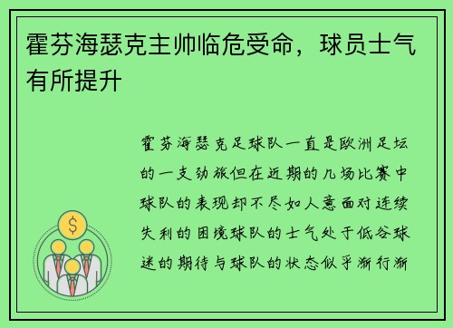 霍芬海瑟克主帅临危受命，球员士气有所提升